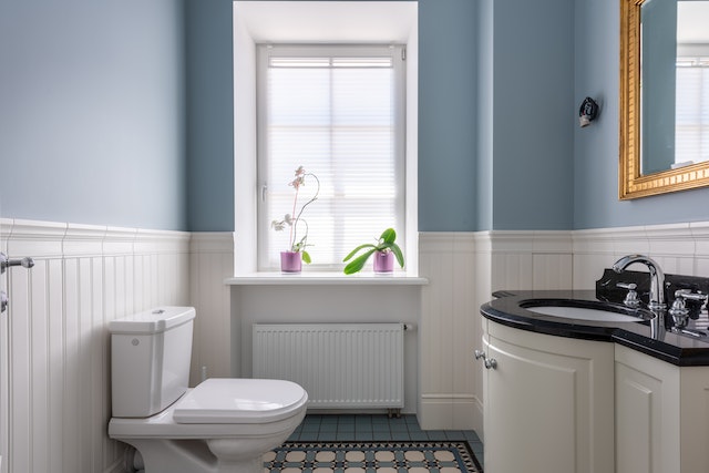 A well-lit washroom a white rounded vanity sky blue walls and two plants in pink pots sitting on the windowsill above a vintage radiator